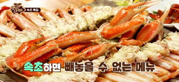 속초대게나라홍게마을