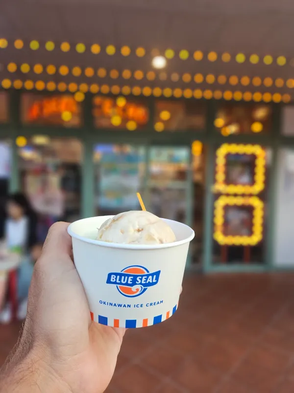 블루씰 아메리칸 빌리지 사진 3