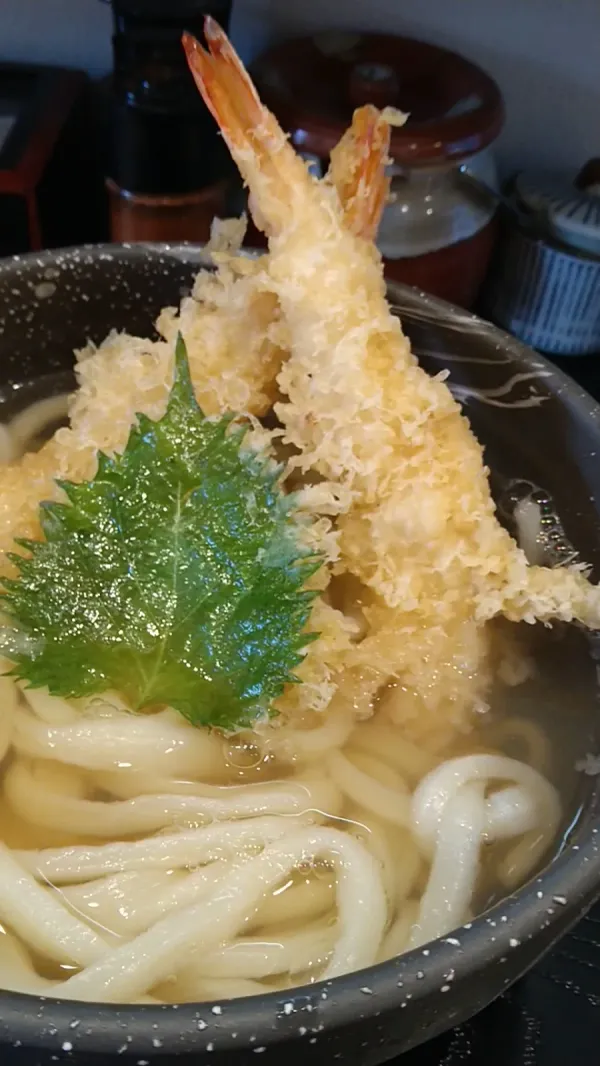 테우치 우동 오쿠라〜 키즈나〜 사진 3