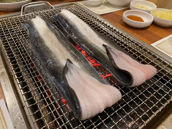 임진강장어 사진 3
