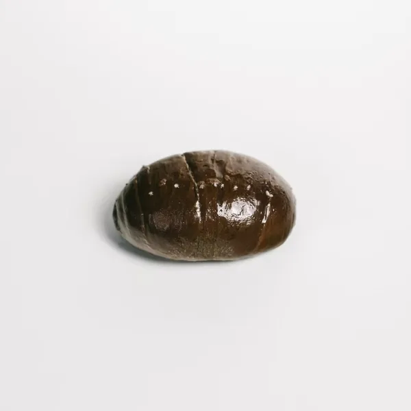 인솔트베이커리 사진 3