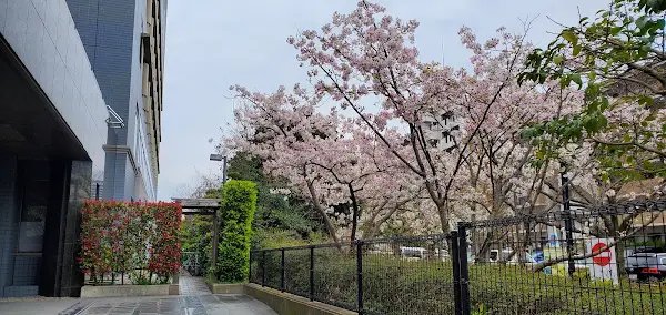 Fukuoka City Emergency Medical Center 사진 2