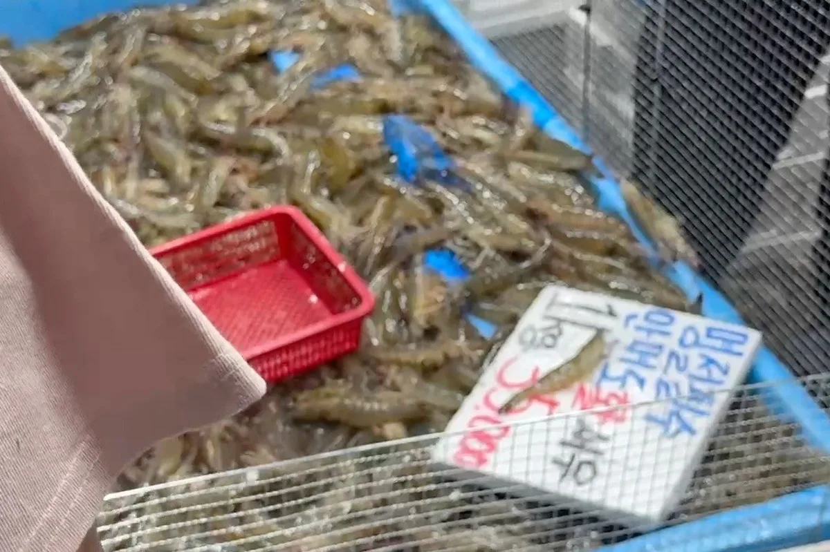Osan Osaek Market, main photo