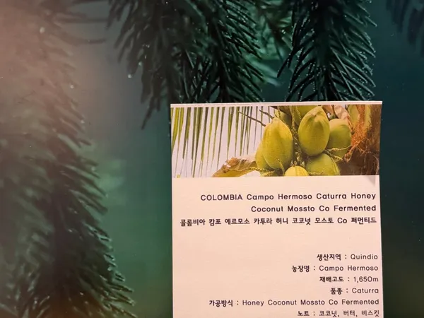 피덴스 사진 2