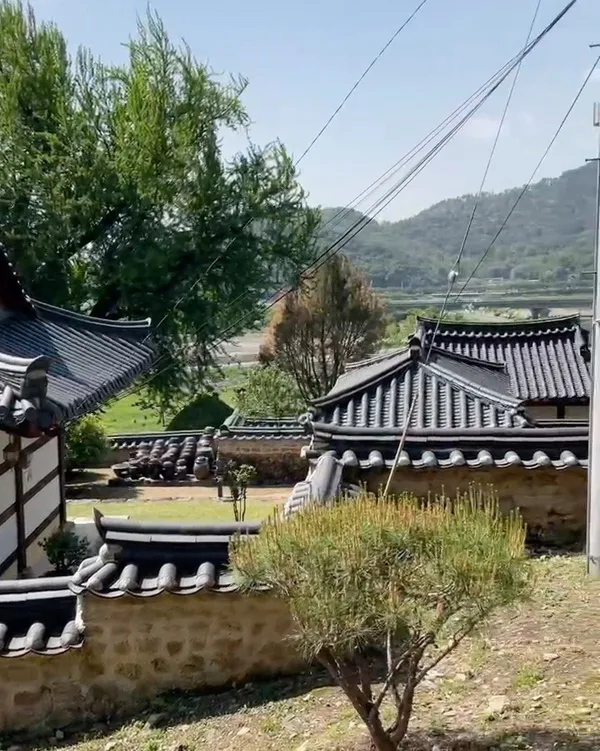 금시당