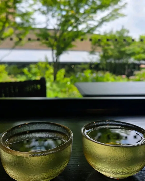 오설록 제주 사진 2