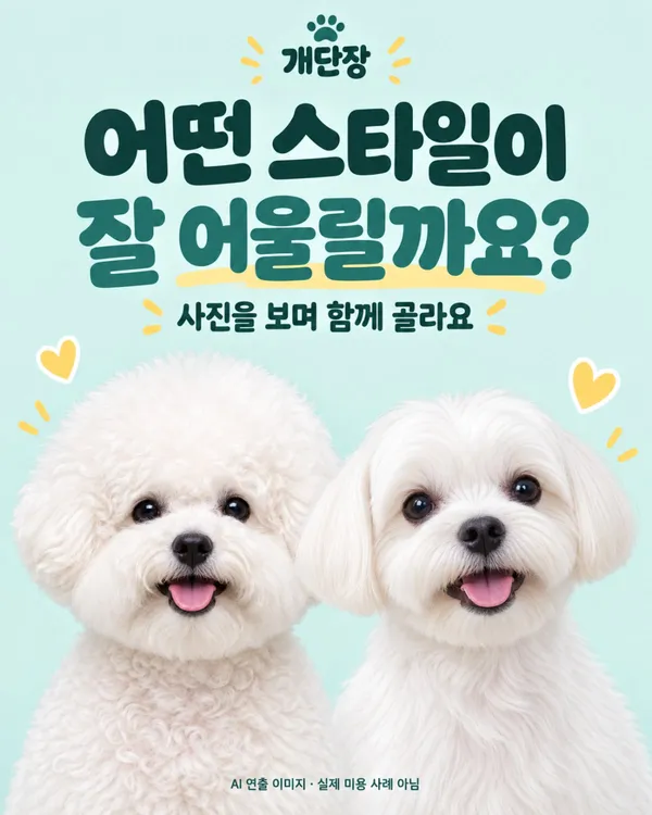 개단장 사진 2