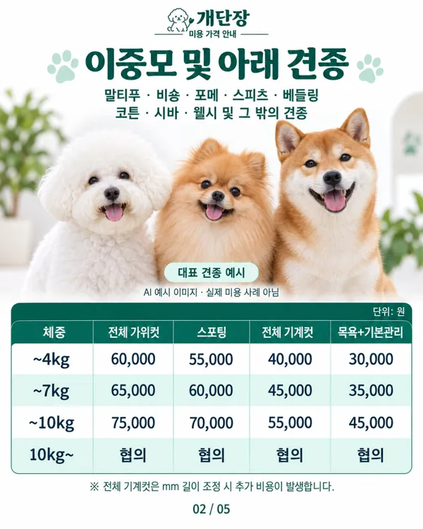 개단장 사진 5