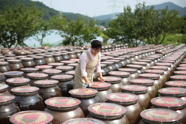 진심담은 된장찌개 진된장 가산본점 사진 2