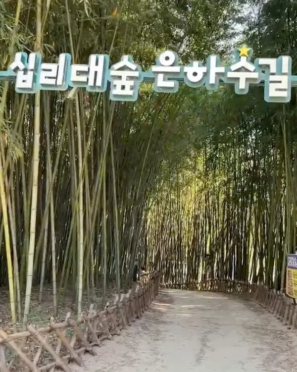 태화강 국가정원십리대숲 사진 5