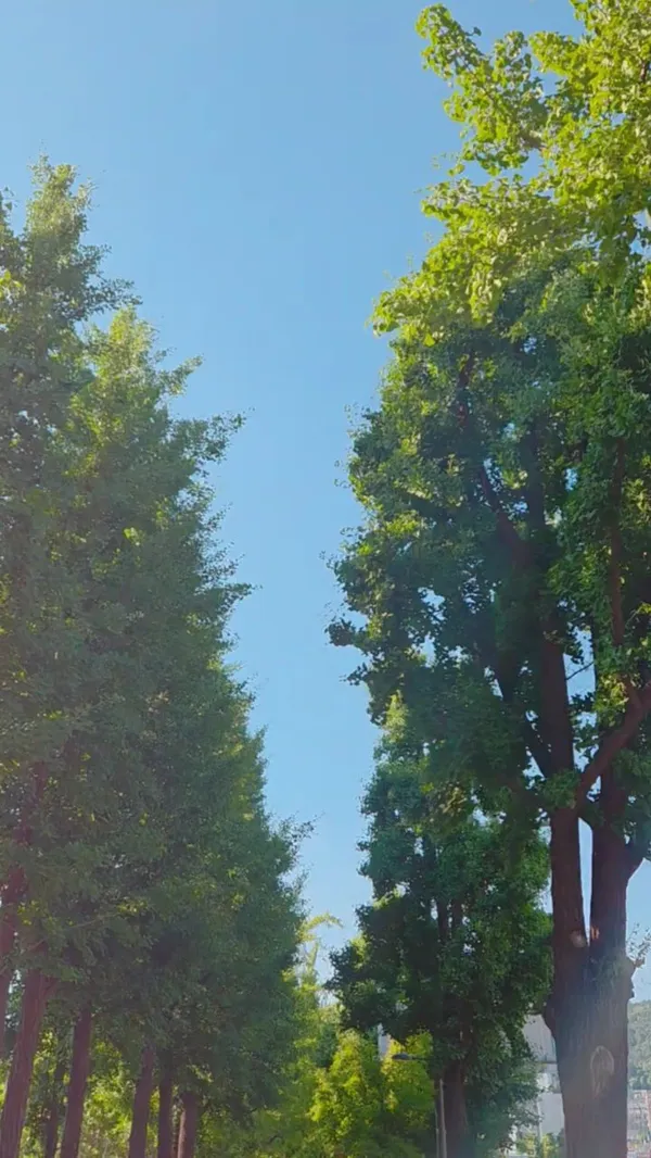 경리단길