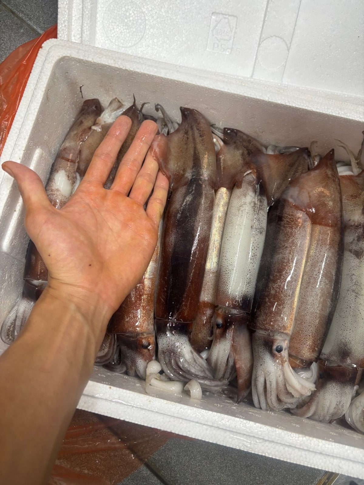 두둥탁 용산본점 사진 5