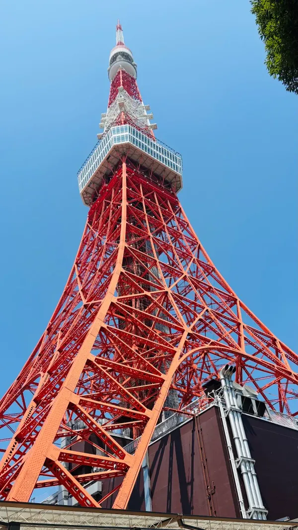 Tokyo Tower 사진 5