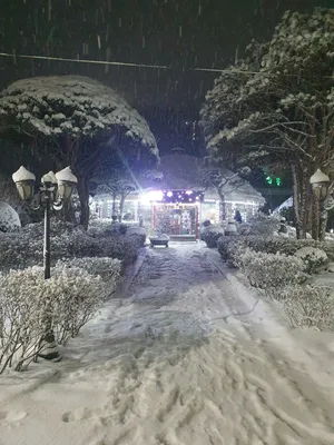 노랑치마식당