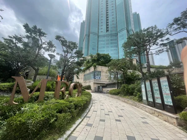갤러리몸