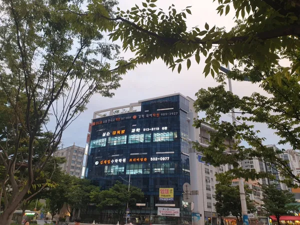 심슨대폭발과학사회전문학원 사진 2