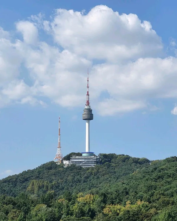 케냐키암부커피