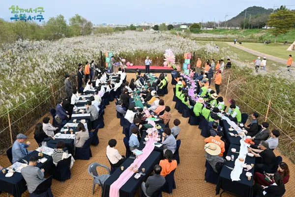 광주서창억새축제 사진 2