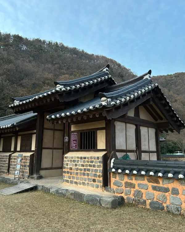 의령세간리은행나무 사진 3
