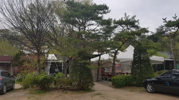 안골종가집