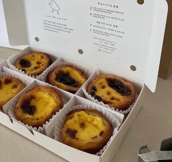 오보드나타 사진 2