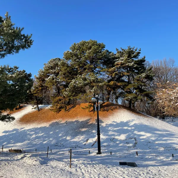 올림픽공원88잔디마당 사진 2