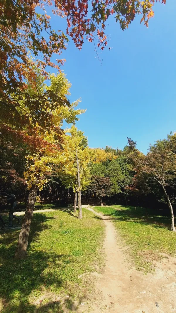 올림픽공원88잔디마당 사진 3