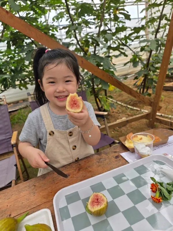 미타임 강화 사진 3