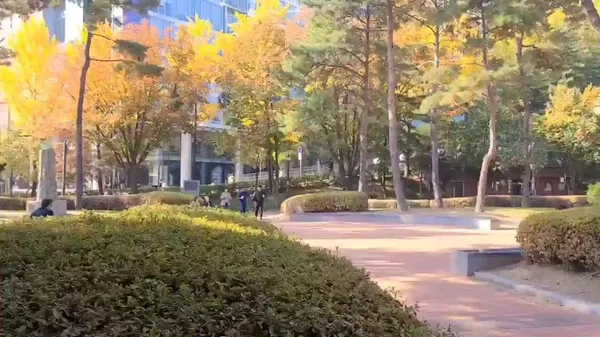 고종의길 사진 5