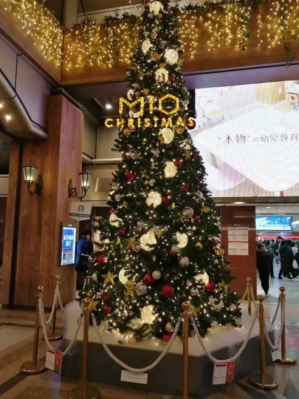 덴노지 미오 사진 5