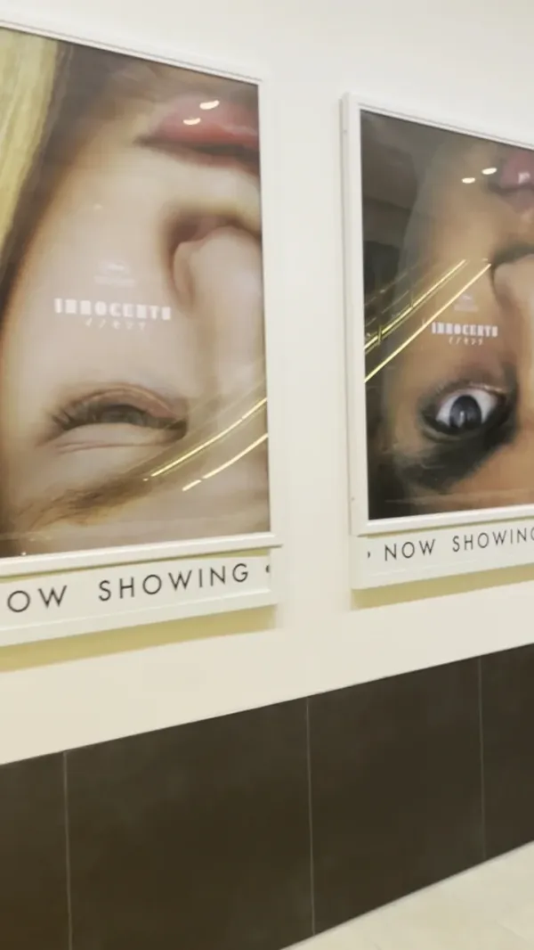 WHITE CINE QUINTO (ホワイト シネクイント) 사진 2