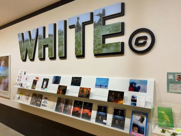 WHITE CINE QUINTO (ホワイト シネクイント) 사진 5