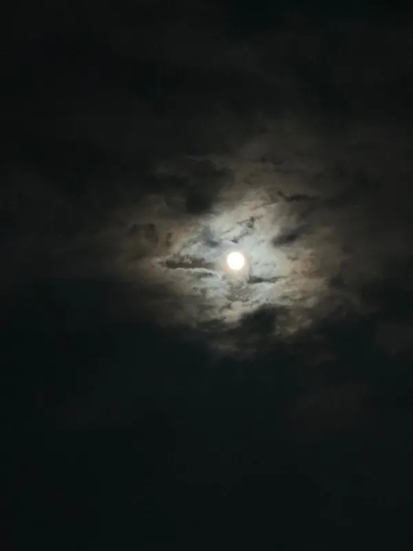 와코타코 화랑대점 사진 5