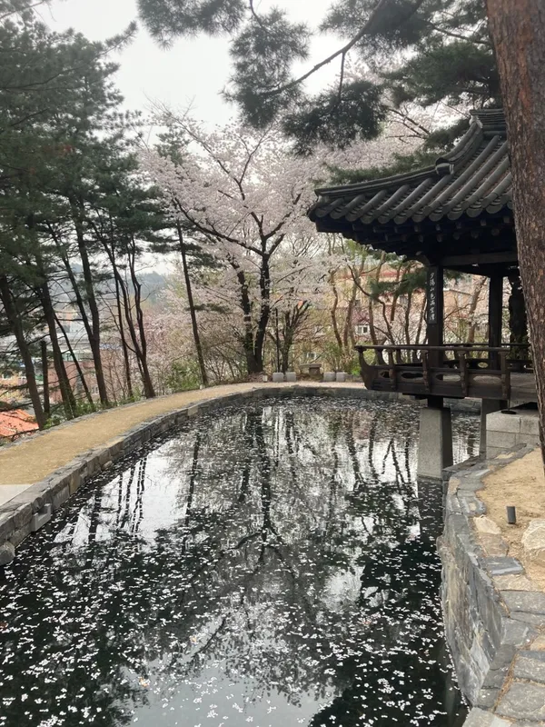 차담by 갤러리 더 스퀘어 사진 4