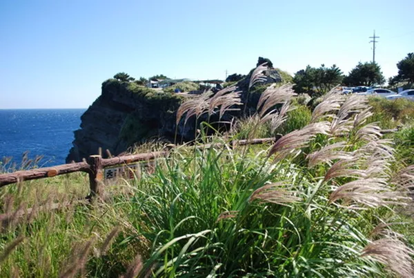 송악산 사진 3