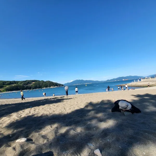 만성리검은모래해변 사진 3