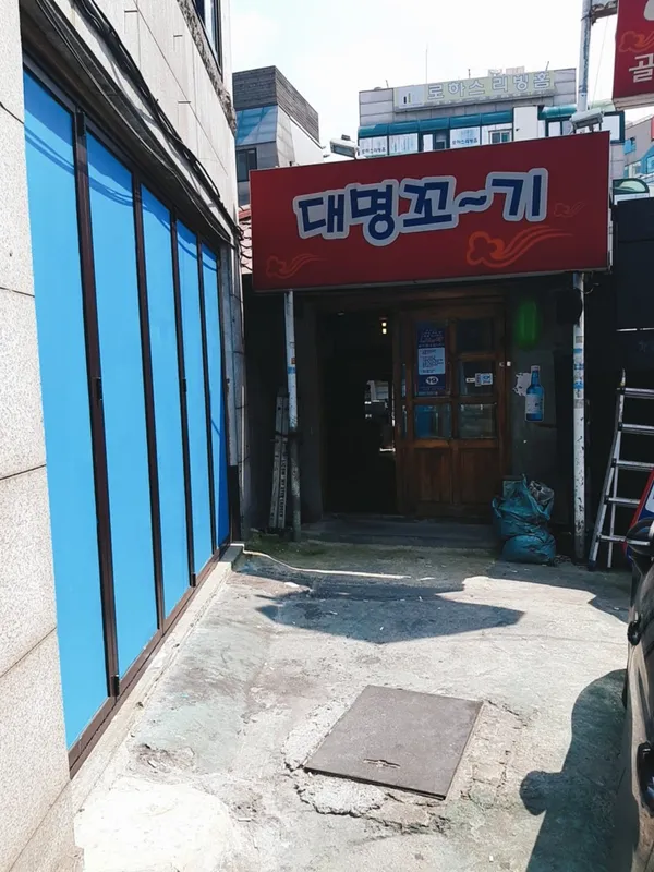 대명꼬기 사진 4