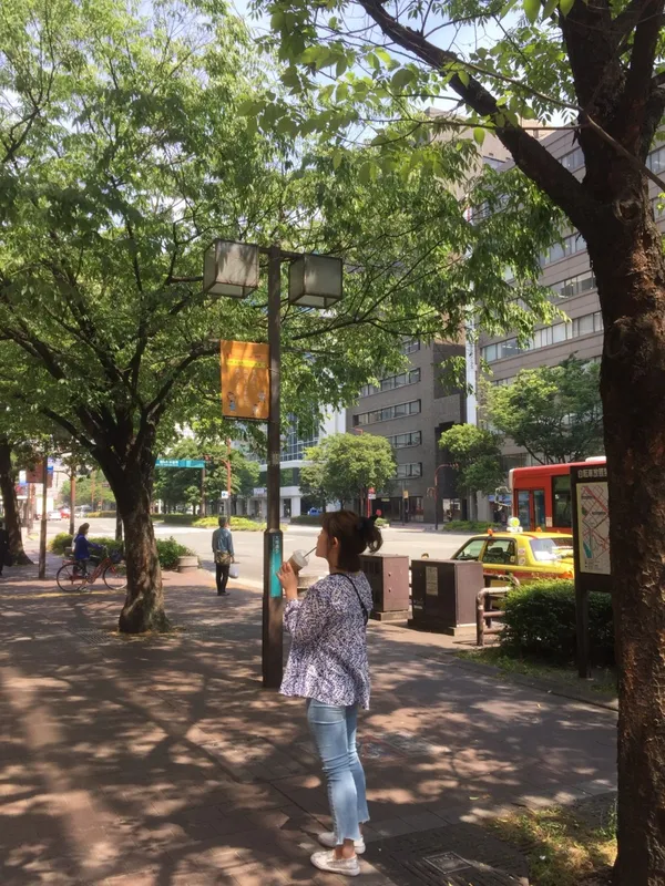 야미가 용인점 사진 5