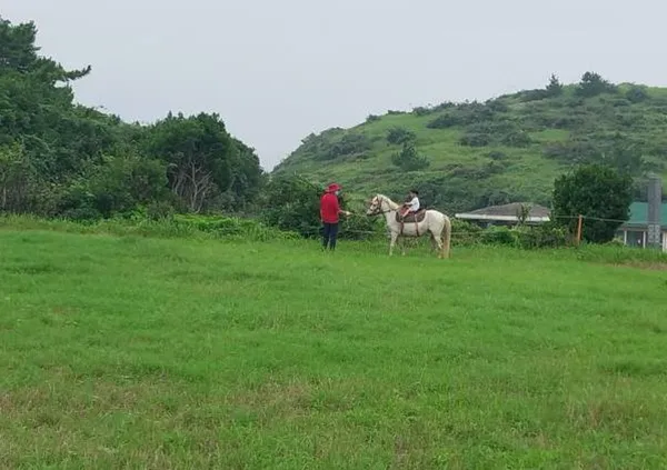 산방산승마체험 사진 3