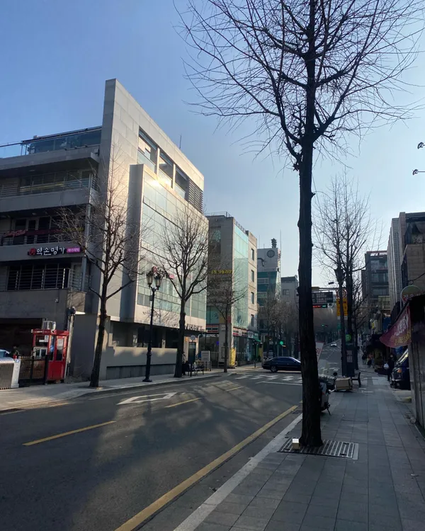 서래마을카페거리 사진 2