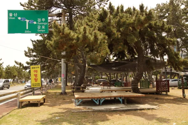 솔밭캠핑장 사진 4