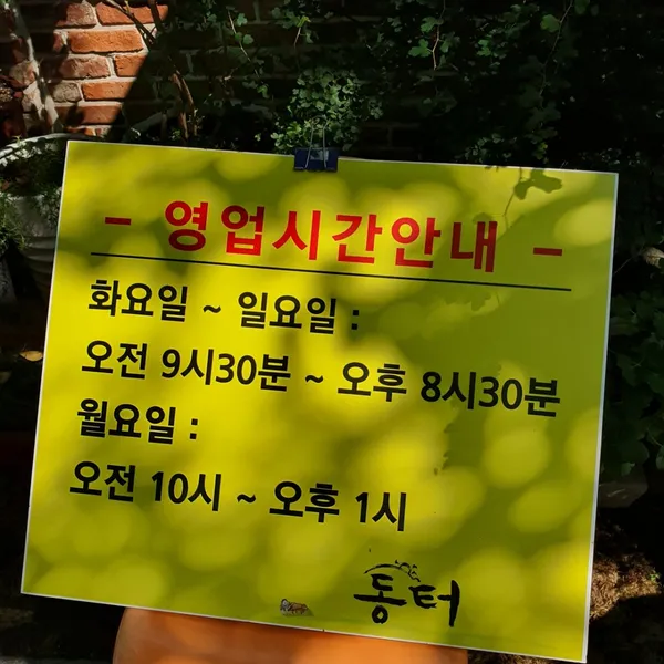 동터 사진 3