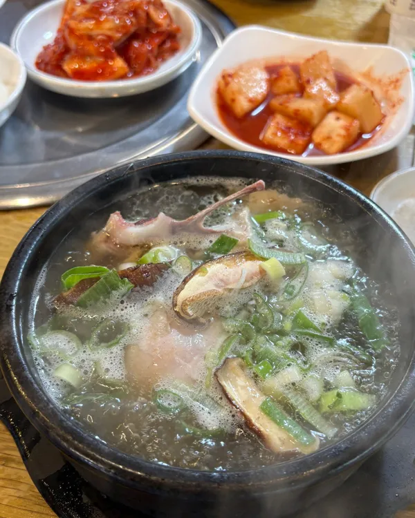 동터