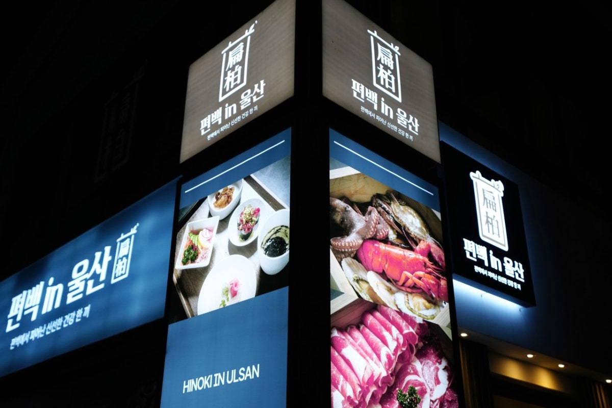 편백in울산 사진 3