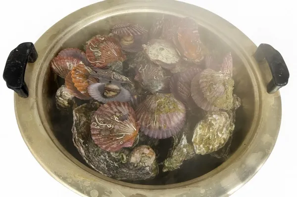 실실쪼개 사진 2