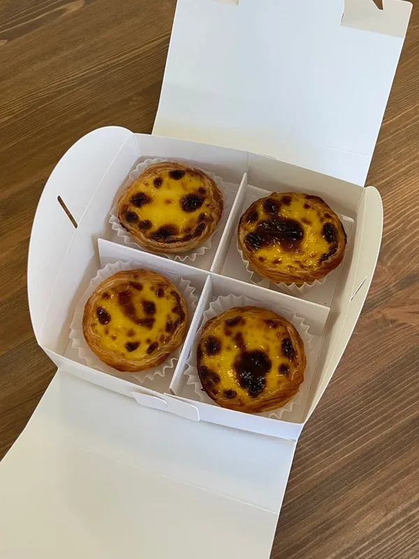 어네모코 사진 3