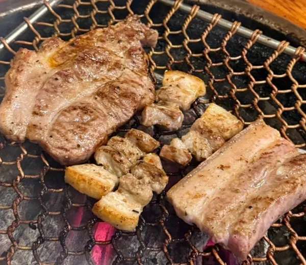 호돈 사진 2