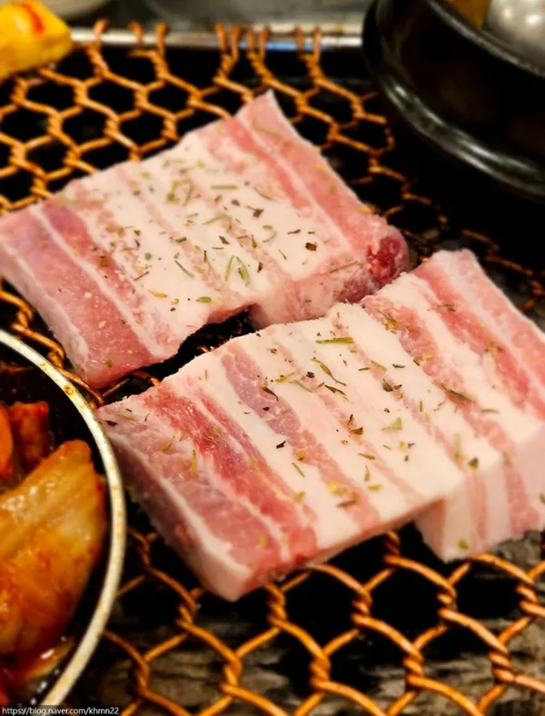 호돈 사진 5