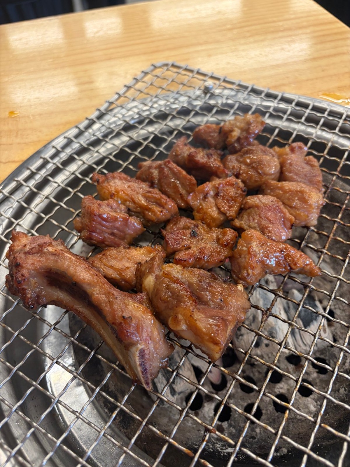 을지갈매기 사진 5