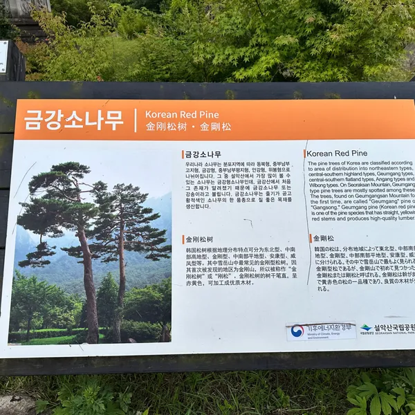 설악산소공원 사진 3